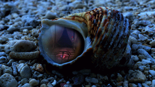 Dino Sato animated GIF