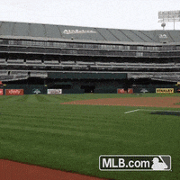 oak GIF by MLB