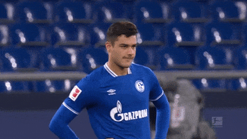 Sebastian Rudy Power GIF by FC Schalke 04