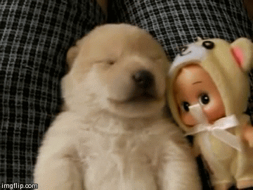 https://media2.giphy.com/media/3rsE8NY4yDrry/giphy.gif