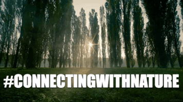 Vric GIF by Valley Ranch Islamic Center