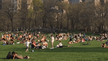 central park GIF by Justin