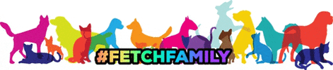GIF by fetchfamilypetresort