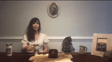 Cat Cheers GIF