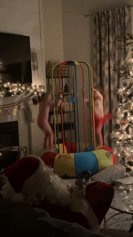 Jungle Jumparoo GIF