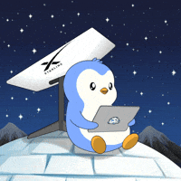 pudgypenguins-star-starlink-link-3udvbCGdXT5ZLfCqgU