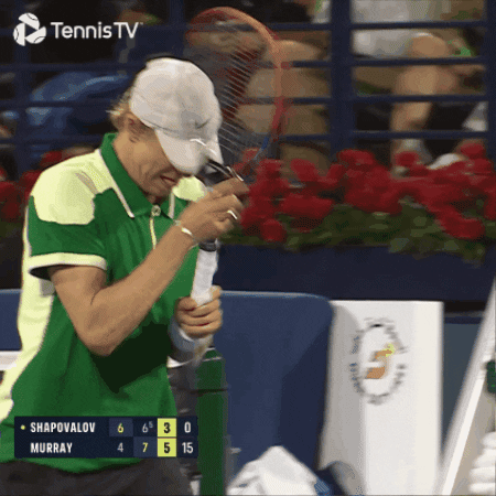 Happy Denis Shapovalov GIF by Tennis TV