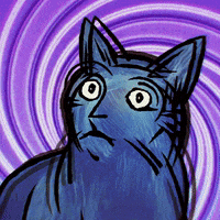 Shocked Cat GIF by Electric Catnip