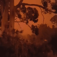 Martian Sky Casts Mallacoota in Red as Bushfires Rage