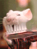 Stuart Little Mouse GIF - Find & Share on GIPHY