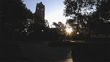 buildings uf GIF by University of Florida