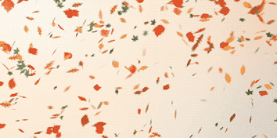 Autumn Leaves Fall GIF by gfaught