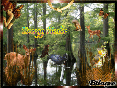 swamp