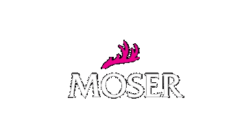 Day Dirndl Sticker by Moser_Trachten