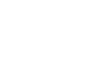 Waves Electronic Music Sticker