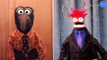 The Muppets GIF by BuzzFeed
