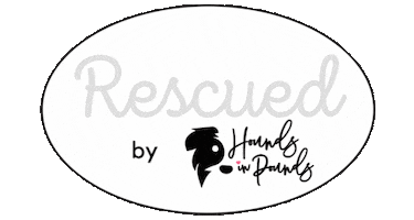 Hipster Hip Sticker by Hounds in Pounds