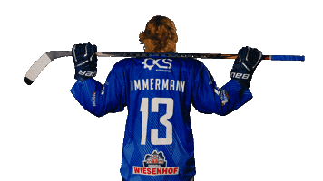 Tigershockey Sticker by Straubing Tigers