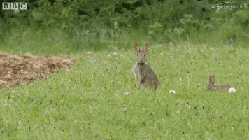 200.gif?cid=fc005b0866ca9aa7f319984f95a93a7c127020bffd19647d&rid=200.gif&ct=g