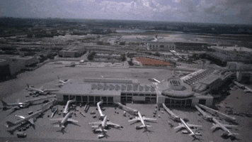 miami international airport travel GIF