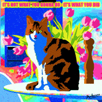 Best Wishes Gifs Get The Best Gif On Giphy