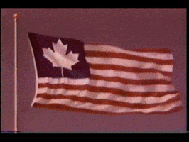 Flag GIF