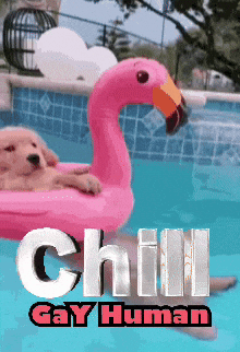 Gay Human GIF