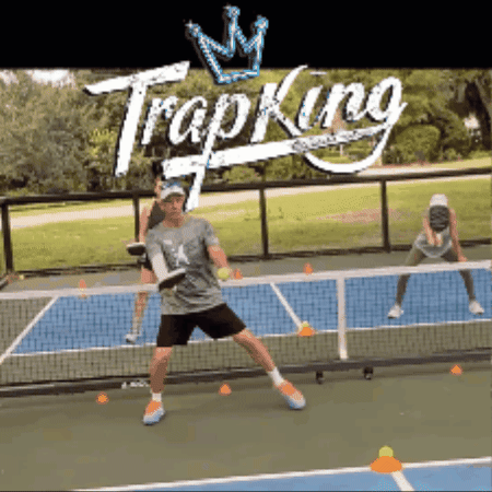 Pickleball GIF