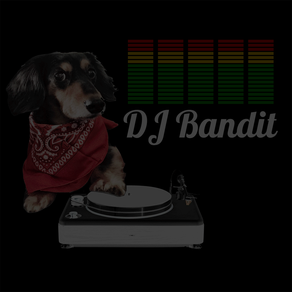 Dj Puppydoc GIF