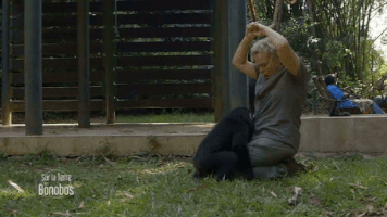 france-3 #france3tv GIF