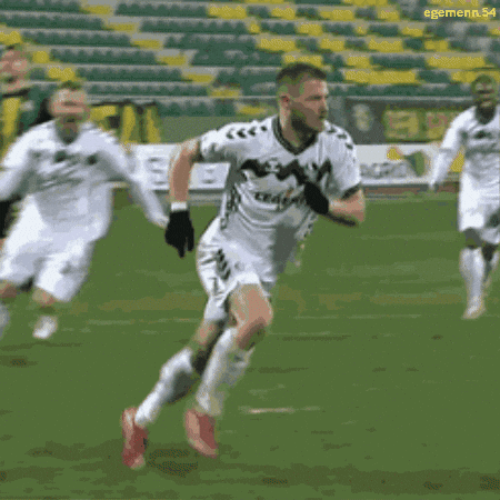 Sakarya Sakaryaspor GIF