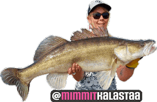 Fishing Fisherman Sticker by Suomen Vapaa-ajankalastajat