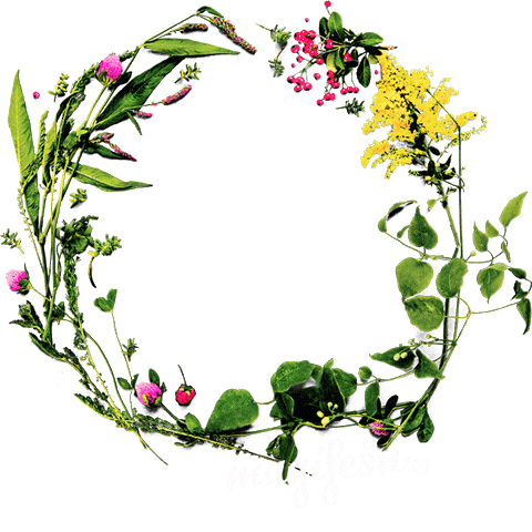 Magifešn Sticker