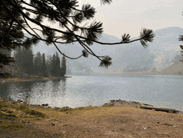 Dr Michael Piepkorn GIF