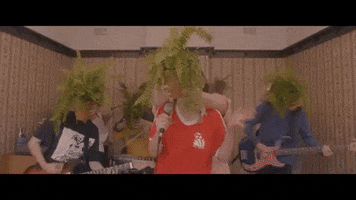live music dancing GIF by Polyvinyl Records