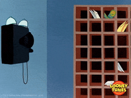 elmer fudd wtf GIF by Looney Tunes