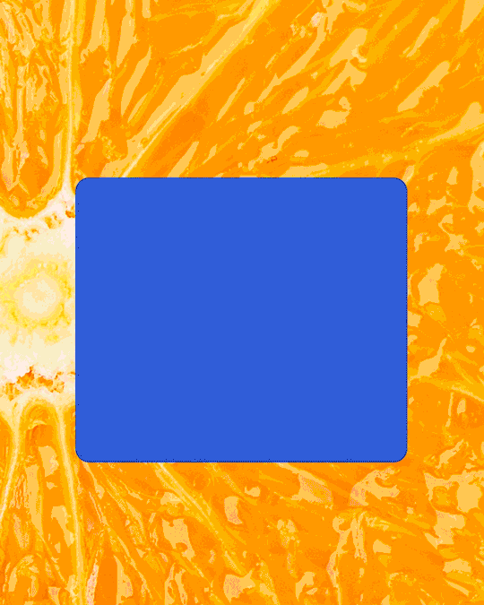 GIF by ownagency