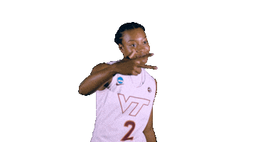 Hokies Sticker