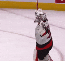 Whl GIF