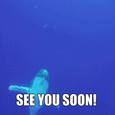 See You Soon Whales GIF by Vallarta Adventures