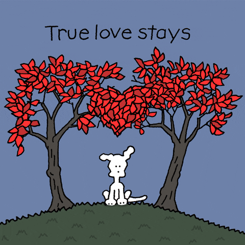 True Love My Heart Is Yours GIF by Chippy the Dog