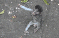 giphy.gif?cid=8fc3c8977a4d4e458073309ce6