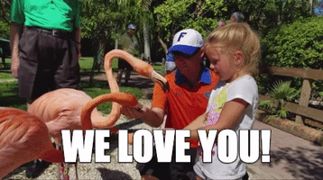 we love you flamingo GIF