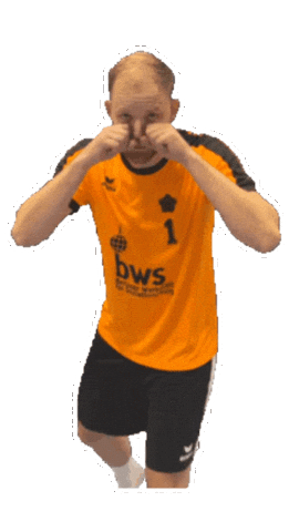 Hbfr Sticker by Handballfreunde Pankow 01