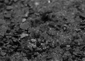 New Life GIF