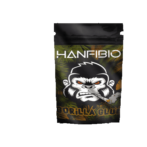 Gorilla Glue Italia Sticker by Hanfibio Cannabis Store