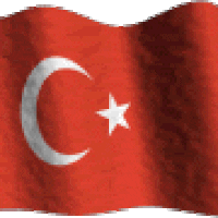 Turk Bayragi GIF