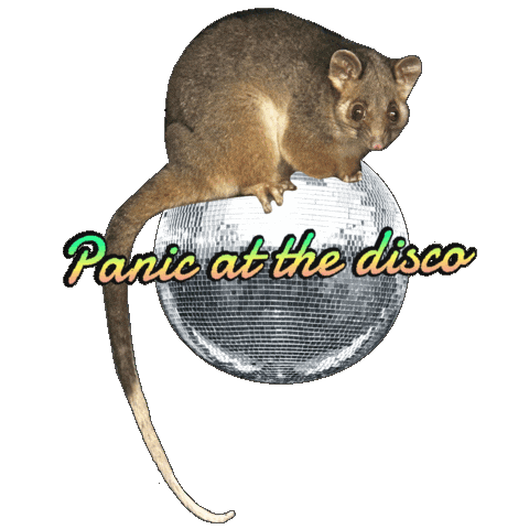 Party Sticker