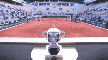 French Tennis GIF by Roland-Garros
