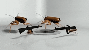 shots fired snl GIF by Saturday Night Live